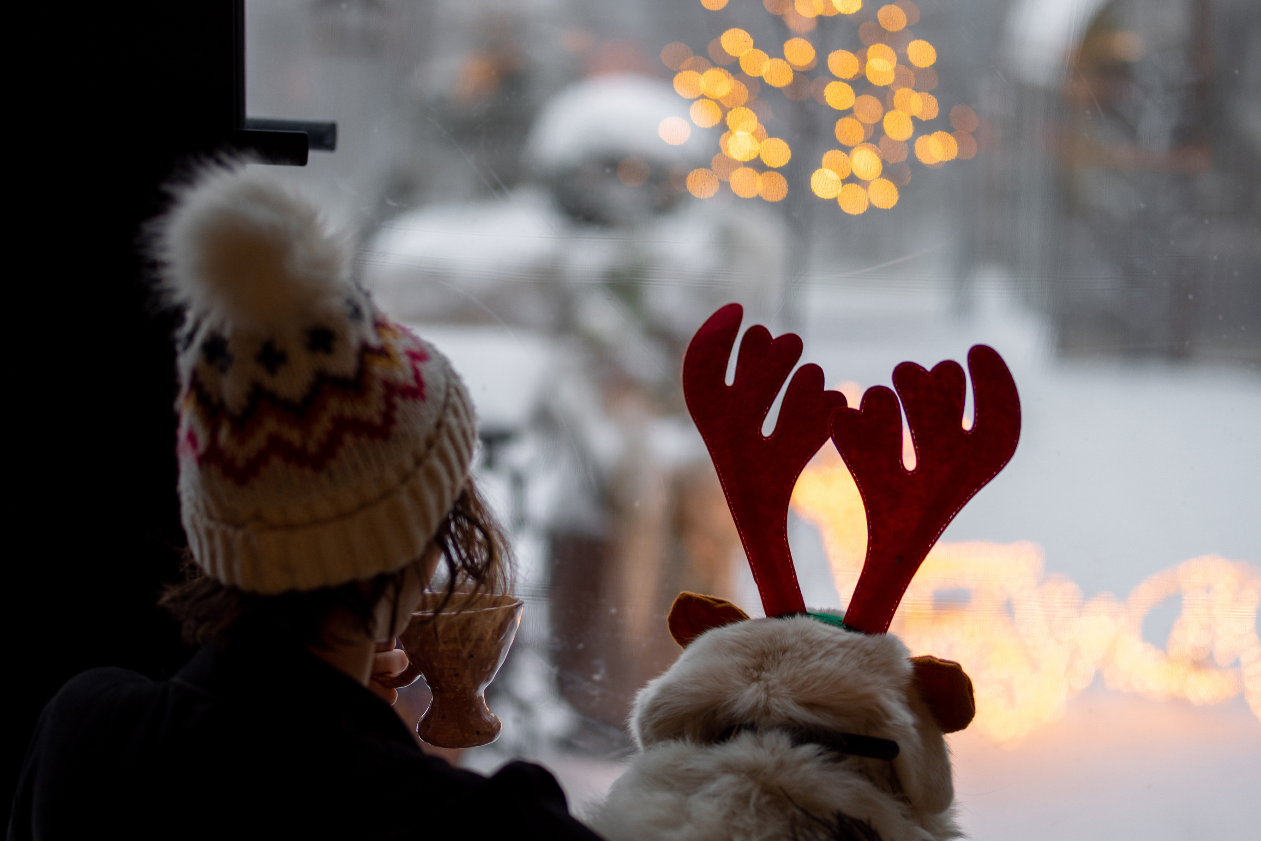 Winter in Tromsø - Girl - Dog - Christmas - Regnskap Norge - Årsoppgjør